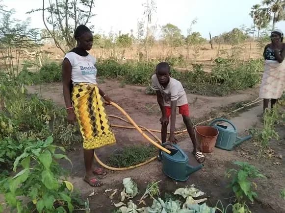Picture of children gardening