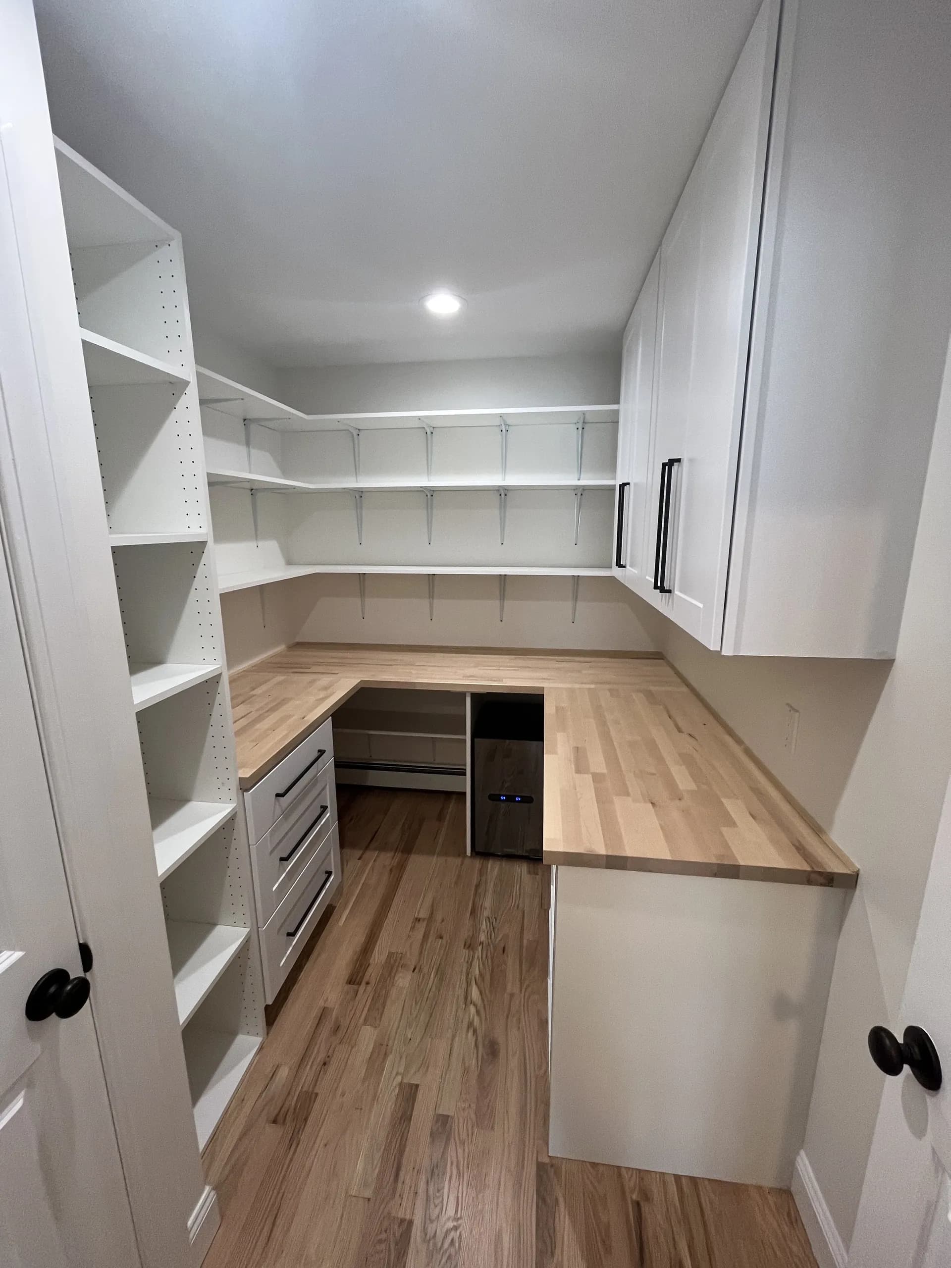 Basement Remodel