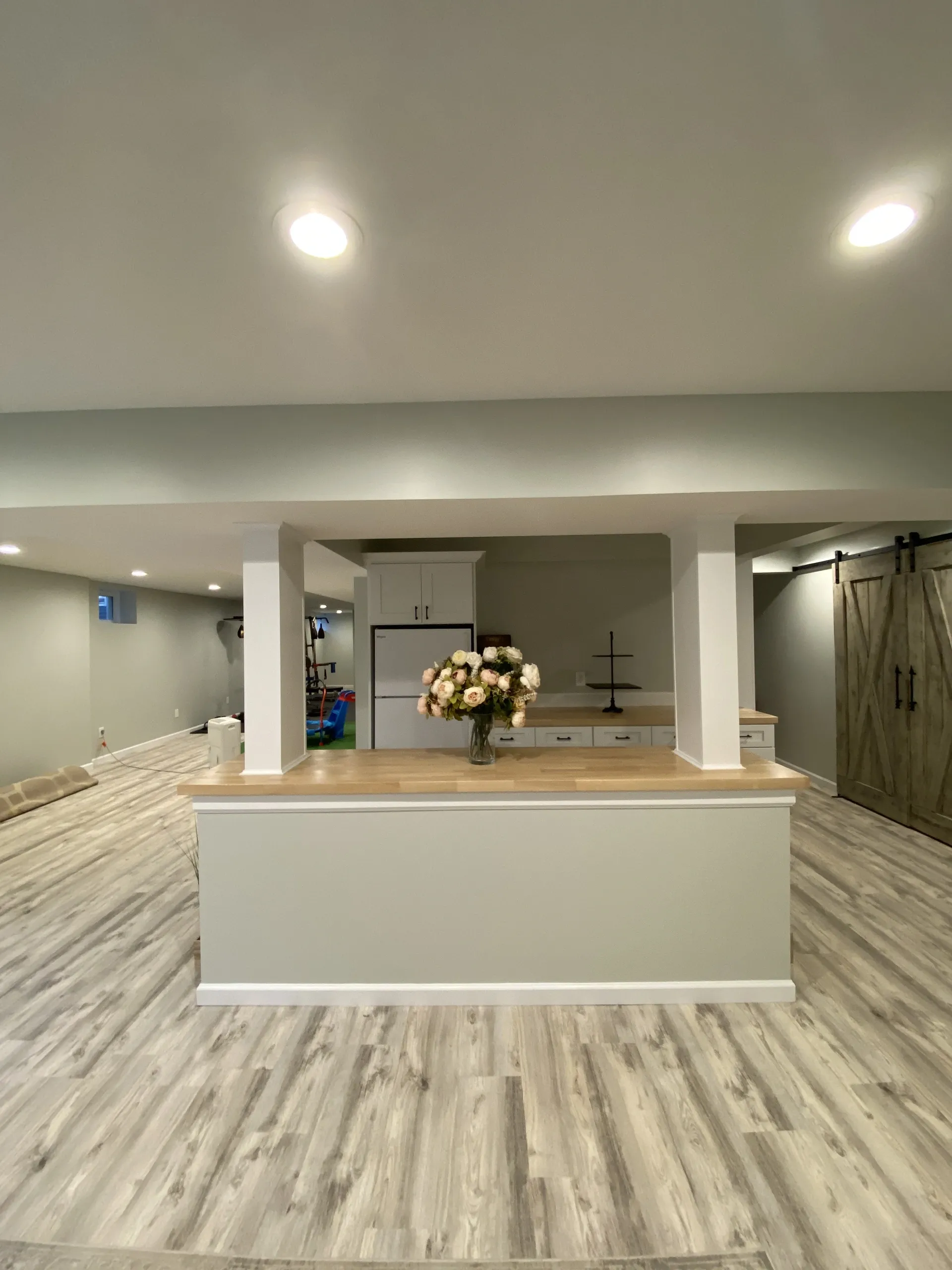 Basement Remodel